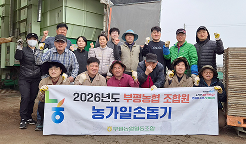 부평농협, ‘영농현장 일손 돕기 봉사활동’ 펼쳐