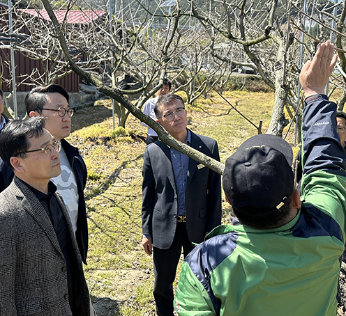 농협, 봄철 과수 개화기 저온피해 예방 현장점검 실시