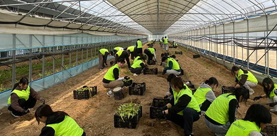 강원농협, 동심협력 함께 여는 풍년의 봄' 영농지원 발대식 개최