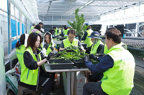 농협상호금융, 전사적 일손돕기 실시
