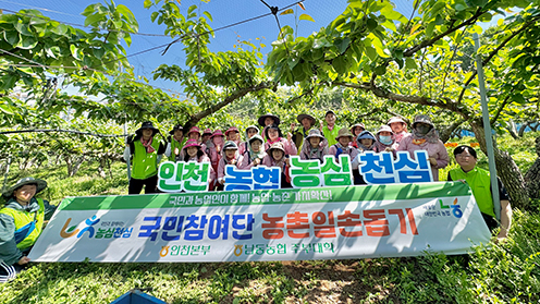 인천농협, 영농철 농촌 일손돕기로 ‘농심천심운동’ 확산