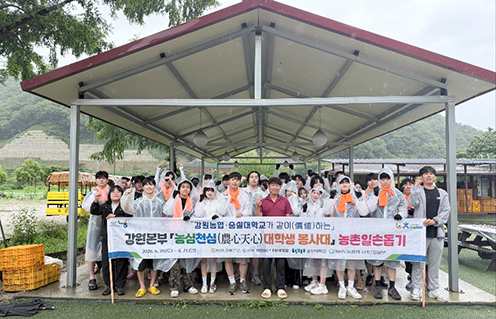 농협 강원본부·숭실대 학생들, 원평팜스테이마을서 농촌일손돕기 펼쳐