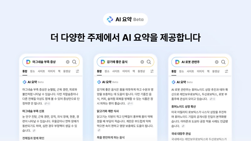 다음 'AI 요약' 베타 서비스. /사진=업스테이지