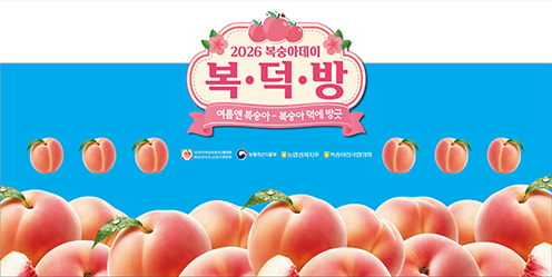 농협, '복숭아데이' 맞아 국산 복숭아 최대 30% 할인