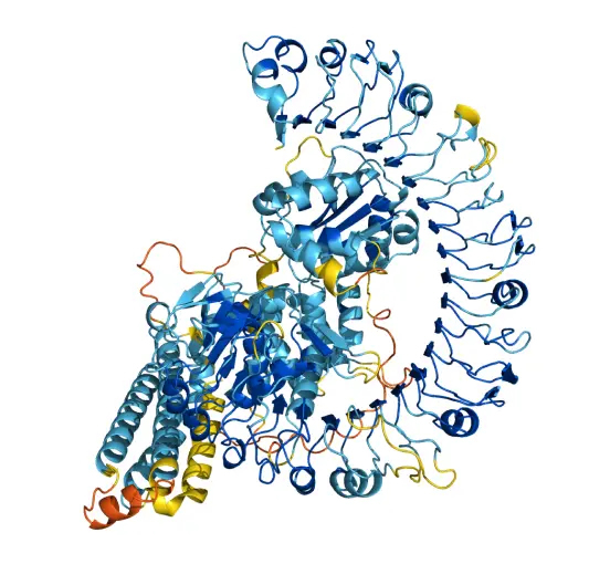 ▲AlphaFold 예측 구조. Source: AlphaFold Protein Structure Database (CC BY 4.0) Jumper et al., Nature (2021) / Varadi et al., Nucleic Acids Research (2024)