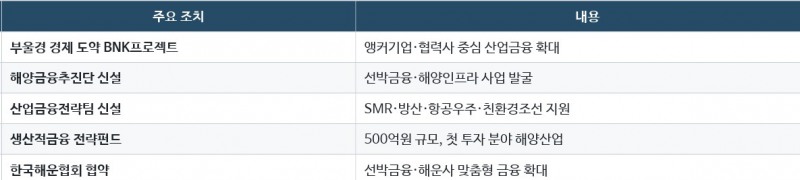 BNK금융 지역금융 강화 방안