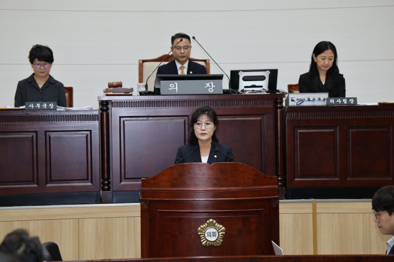 고진숙 용산구의회 의원이 자유 5분발언을 하는 모습./사진제공=고진숙 의원실