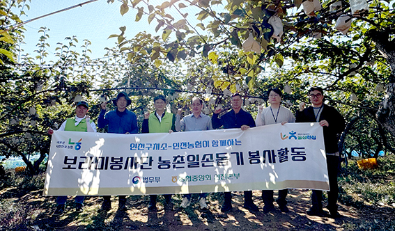 인천농협·보라미봉사단, 배 수확철 농촌일손돕기