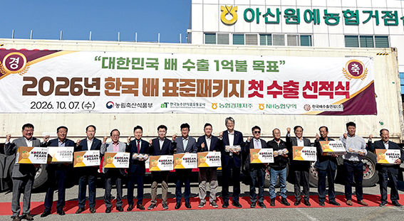 농협, 한국산 배 ‘표준 패키지’ 도입…브랜드 경쟁력 강화