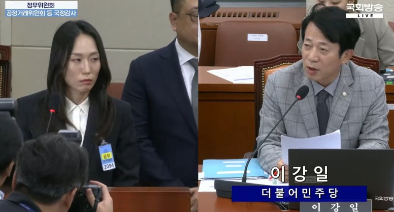 주성원 쿠팡 부사장이 이강일 더불어민주당 의원 질의에 답하는 모습. /사진=국회방송 유튜브 영상 갈무리