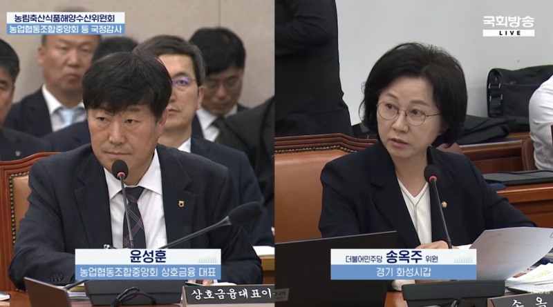 16일 진행된 국회 농림축산식품해양수산위원회 국정감사에서 송옥주 더불어민주당 의원의 질의에 윤성훈 농협협동조합중앙회 상호금융 대표가 답하고 있다. / 사진=국회방송 라이브 갈무리