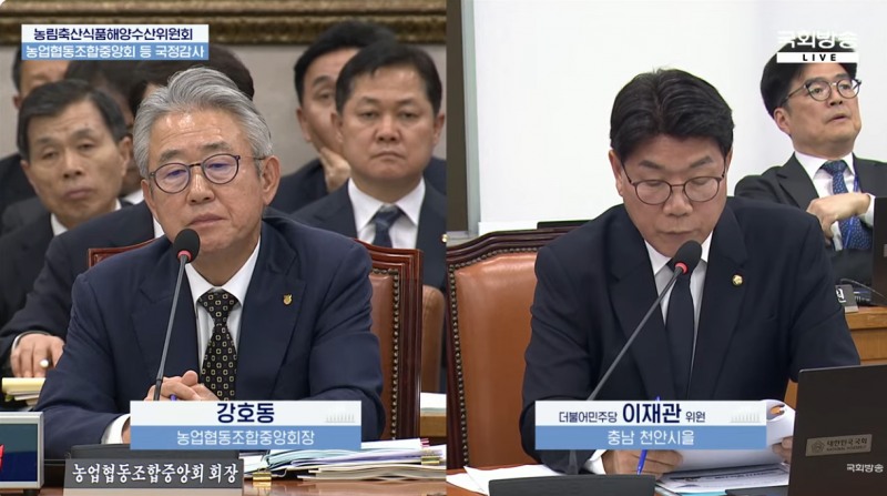 16일 국회 농림축산식품해양수산위원회 국정감사에서 강호동 농협중앙회장이 이재관 더불어민주당 의원의 질의에 답하고 있다. 사진=국회방송 라이브 갈무리