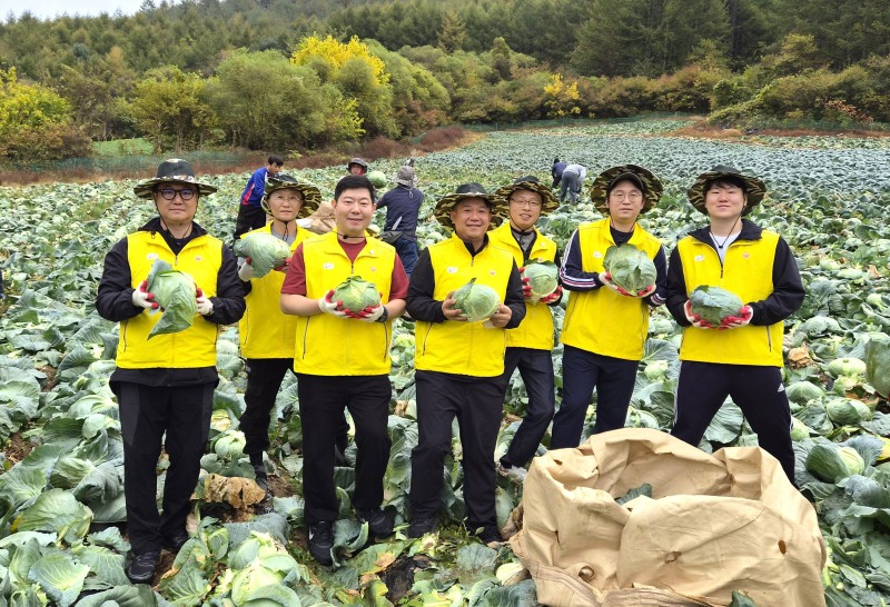 지난 16일 강원도 인제군 소재 양배추 농가에서 오뚜기 ‘한국농업 상생발전 TFT’ 구성원들이 직접 수확한 양배추를 들고 기념촬영을 하고 있다. /사진=오뚜기