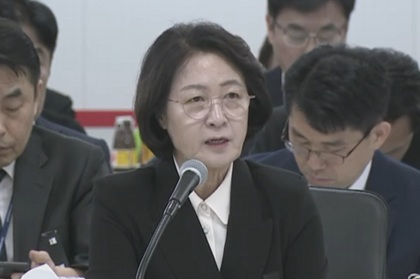 추미애 경기도지사가 국정감사에서 발언하는 모습./ 사진=국회방송
