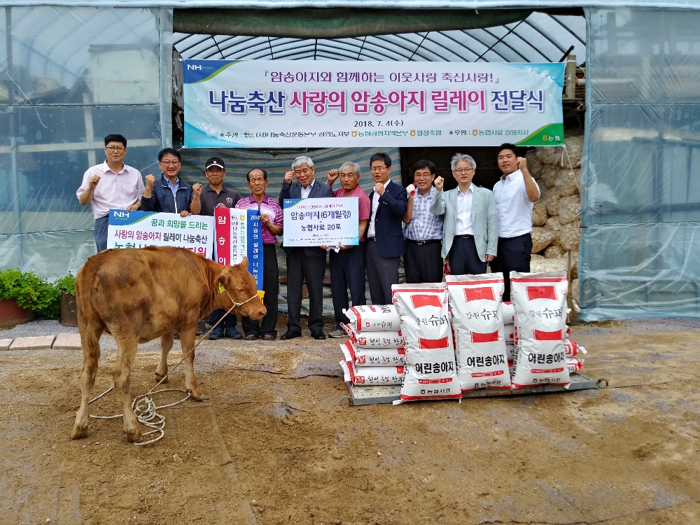 농협 강원지역본부, 나눔축산 사랑의 암송아지 릴레이 전달
