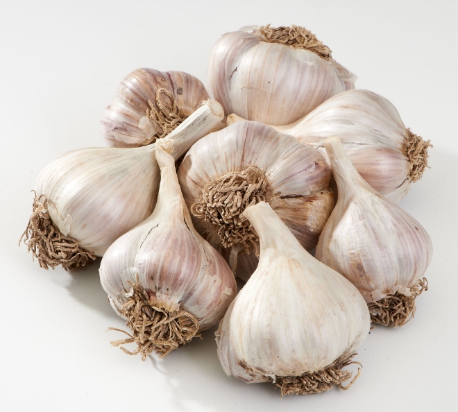 롯데마트는 8일부터 14일일까지 일주일간 ‘피마늘(1개)’을 100원에 판매한다. /사진=롯데쇼핑.