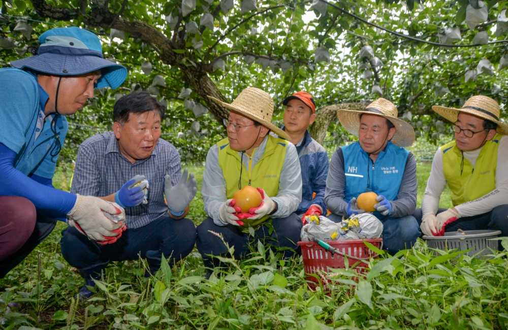 10일 김광수 농협금융 회장(왼쪽에서 세번째)이 충남 천안지역 태풍 피해 과수 농가를 방문하여 태풍 ‘링링’으로 인한 피해 상황을 듣고 있다./사진=농협은행