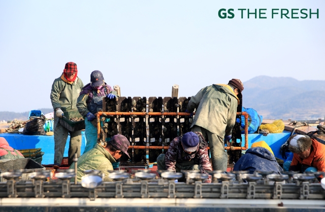 GS THE FRESH는 전라남도의 우수 수산물, 해물류 및 가공식품에 대한 우수한 품질 홍보와 판로 지원, 매출 확대를 지원하고자 20일부터 26일까지 총 7일간 전국 GS더프레시 매장에서 ‘전라남도 우수 수산식품 기획전’을 진행한다. /사진=GS리테일.