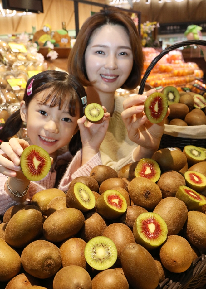 롯데슈퍼는 국산 키위 소비 촉진을 위해 전라남도 보성에서 ‘스테비아 공법’으로 자란 키위 3종(각 4~5입/1팩, 그린 3990원, 골드 4990원, 레드 5990원)을 판매한다. /사진=롯데쇼핑.