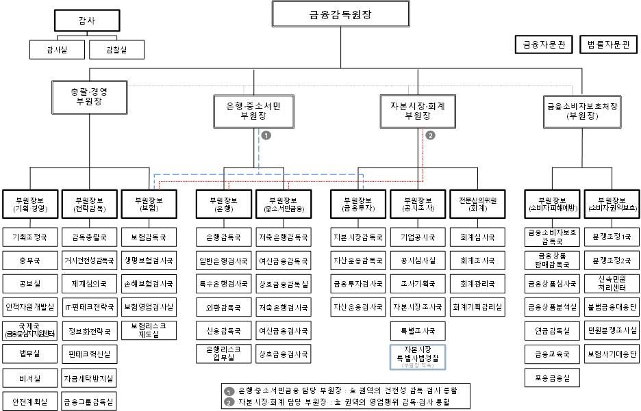2020년 개편한 금감원 조직도./사진=금융감독원