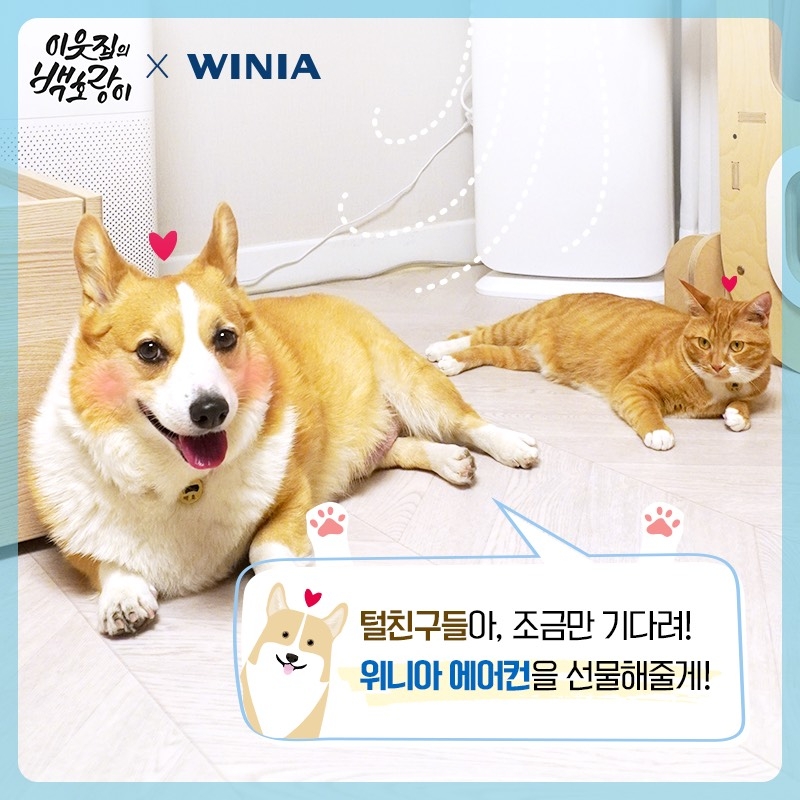 위니아딤채가 강아지 유튜버 '이웃집의 백호'와 함께 위니아 에어컨 기부 이벤트를 진행했다./사진=위니아딤채