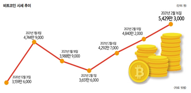 롤러코스터 비트코인 지금 투자해도 될까? (2) 주류냐 거품 끝판왕이냐 ‘갈림길’