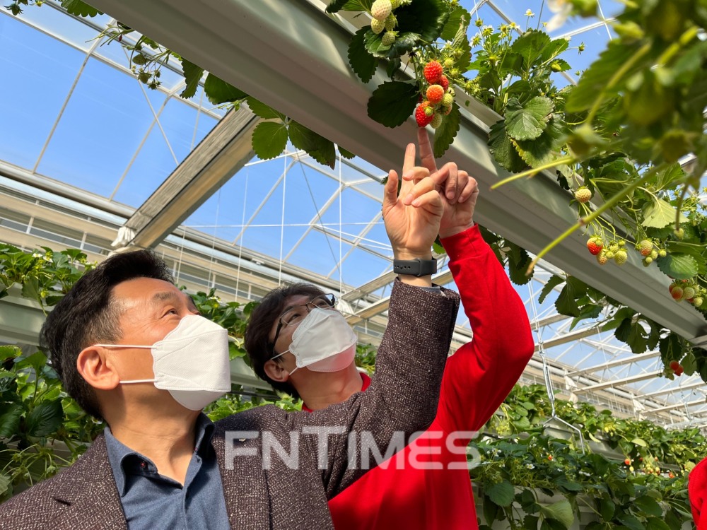 김춘안 NH농협은행(은행장 권준학) 부행장(왼쪽)이 박홍희 우공의 딸기 대표와 10일 경상북도 상주시에 있는 우공의 딸기를 찾아 스마트팜(지능형 농장) 딸기 재배 시설을 참관하고 있다./사진=NH농협은행