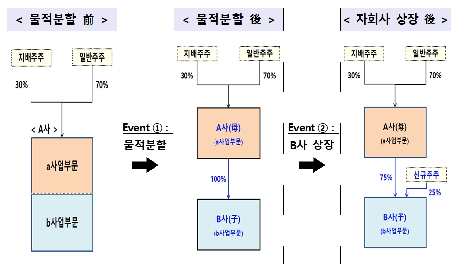 물적분할 개요 / 자료제공= 금융위원회(2022.03.06)