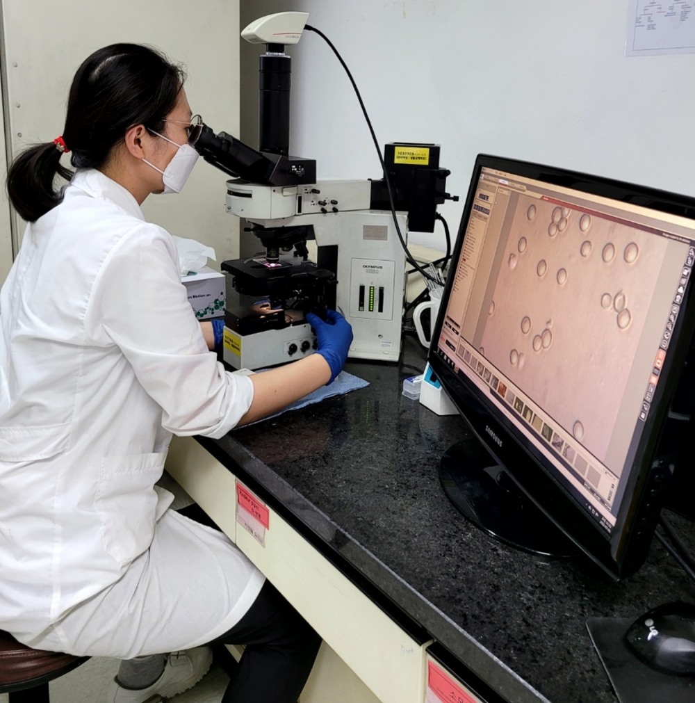 하이트진로 연구원이 현미경을 통해 효모의 형태적 특성을 관찰하고 있다./ 사진제공 = 하이트진로