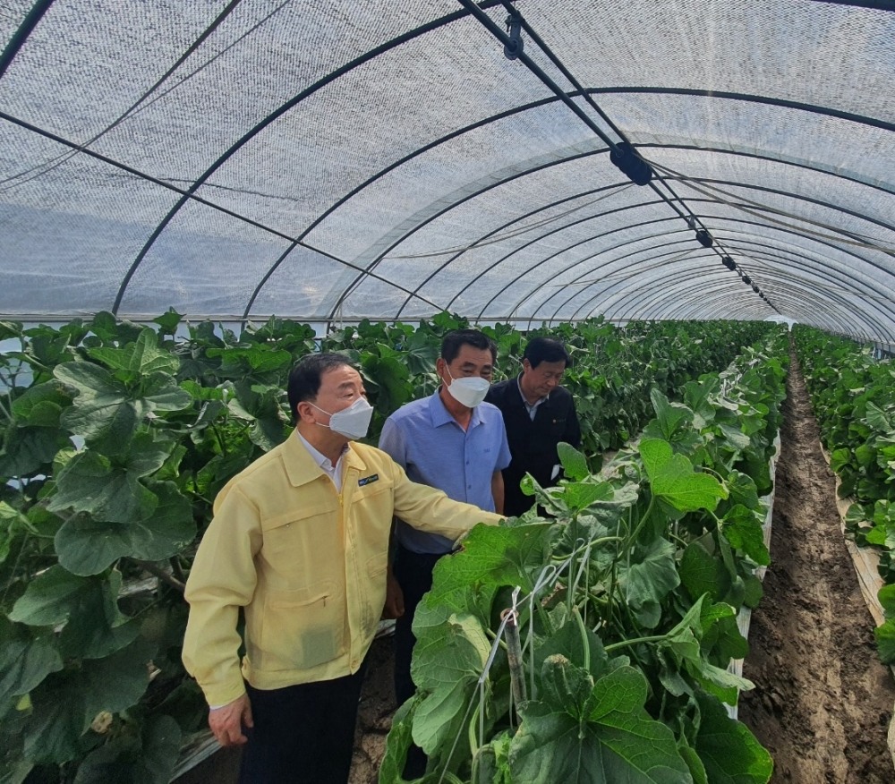 최문섭 농협손보 대표이사(왼쪽)가 정동현 규암농협 조합장(사진 오른쪽)과 함께 지난 2022년 8월 16일 피해 현장을 둘러보고 있다./사진=농협손해보험