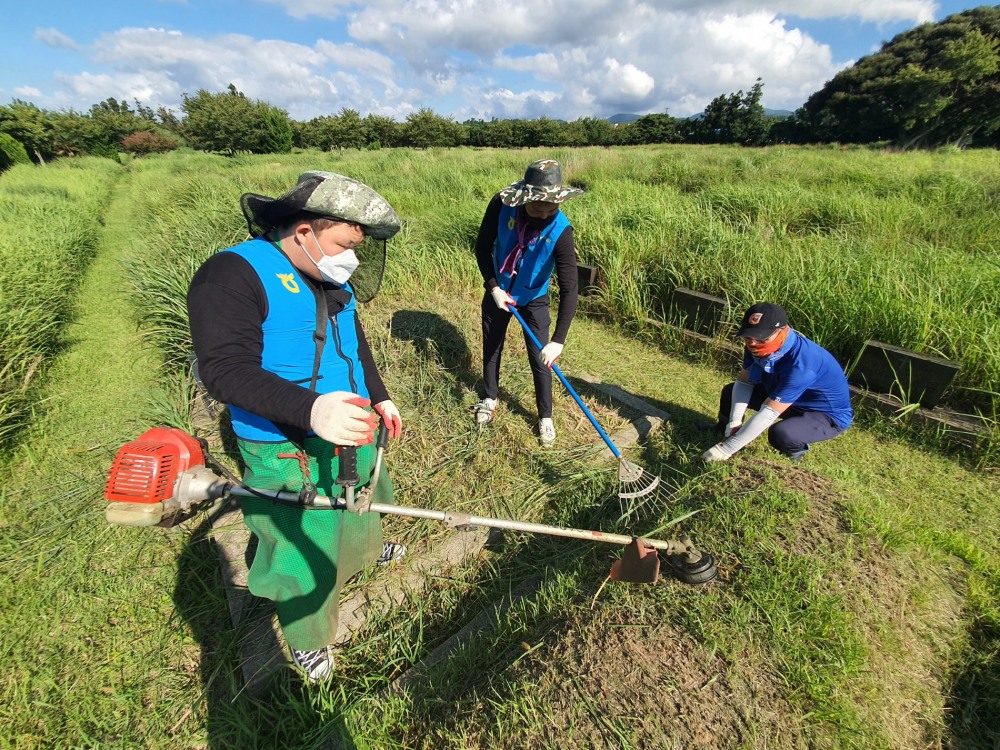 농협중앙회는 추석 벌초대행 서비스를 제공하고 특별상황실 운영을 통해 이용자 편의성을 강화한다. / 사진제공=농협중앙회