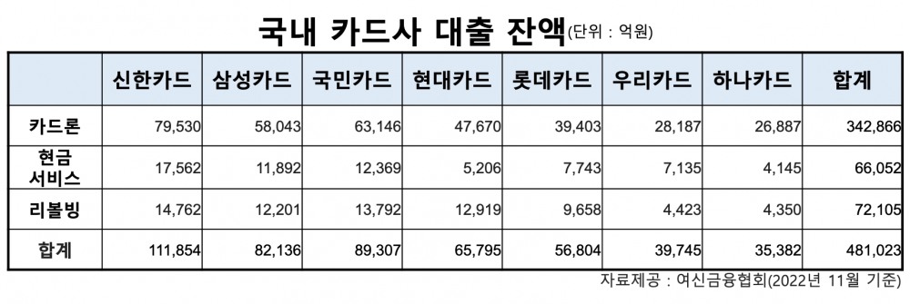 DSR 규제·리스크관리에 카드론 영업 축소…차주 현금서비스·리볼빙 선회