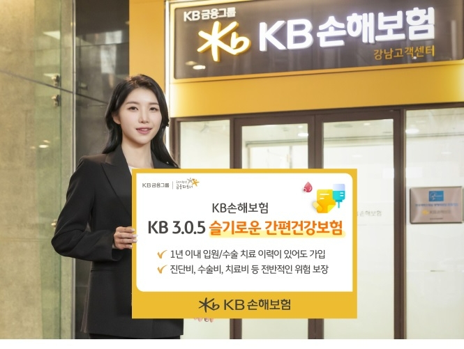 KB손해보험이 유병자를 위한 'KB 3.0.5 슬기로운 간편건강보험'을 출시했다./사진=KB손해보험