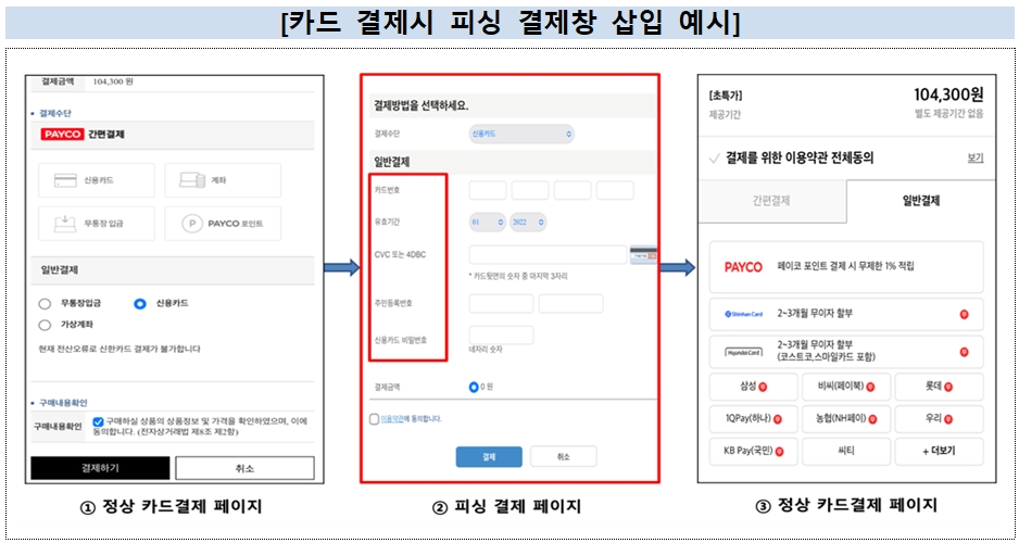 이미지 제공=금융보안원