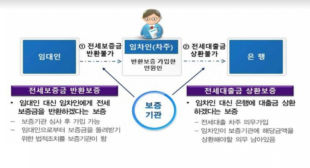 금융감독원이 소개한 전세보증금 반환보증 및 전세대출금 상환보증제도./사진제공=금융감독원