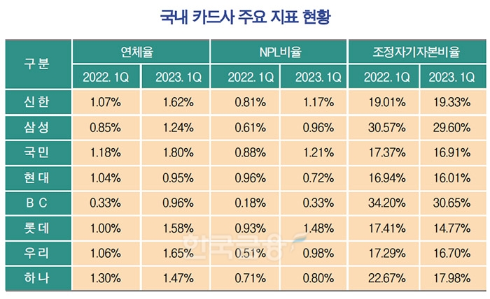 수익성·건전성 ‘2중고’ 카드사…성장세도 제한적