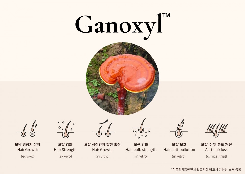 가녹실 설명 자료./ 사진 = 코스맥스