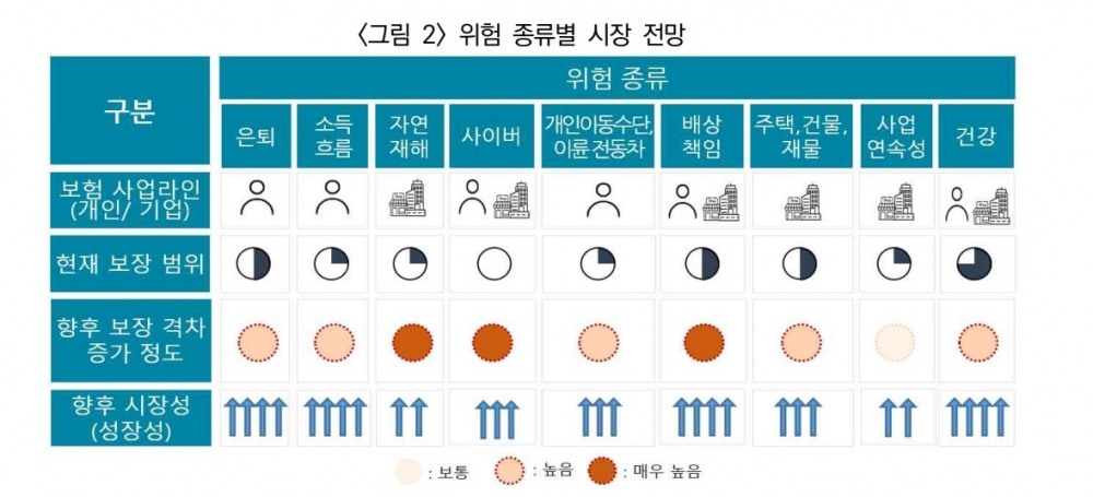 위험 종류별 시장 성장성 전망. 자료=보험연구원