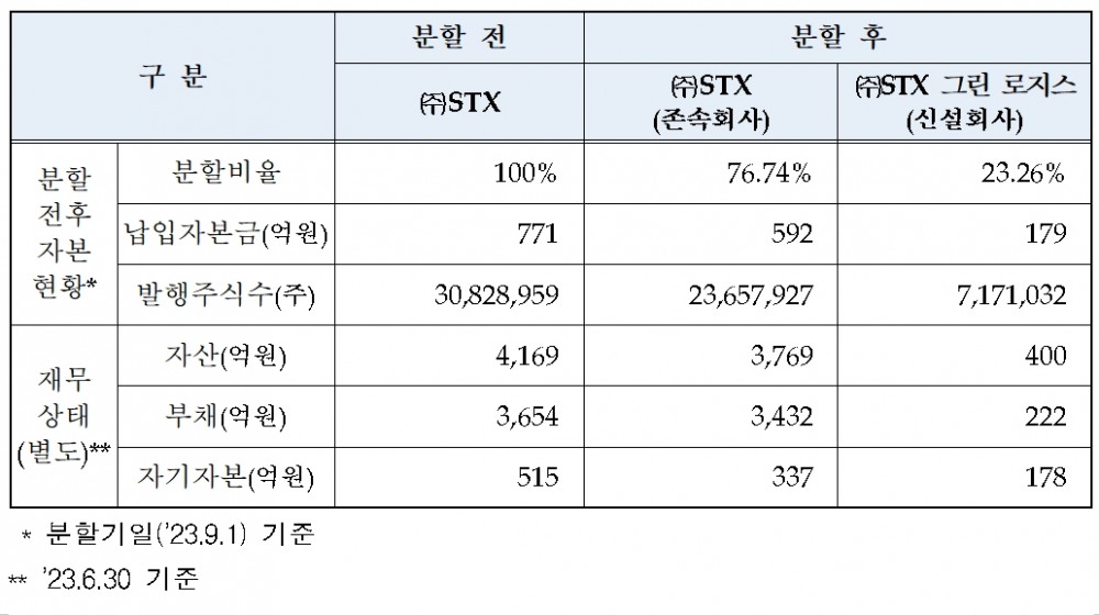 STX(대표 박상준) 인적 분할 개요./자료제공=한국거래소(KRX‧이사장 손병두)