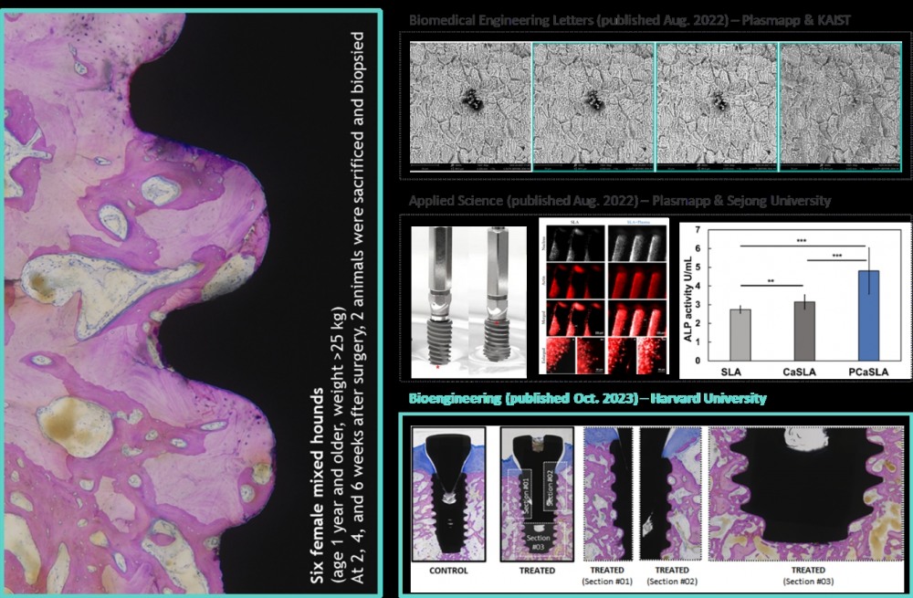 윤삼정 플라즈맵 공동대표./사진제공=투자홍보(IR‧Investor Relations) 컨설팅 전문 기업 ‘IR큐더스’(대표 이준호‧이종승)
