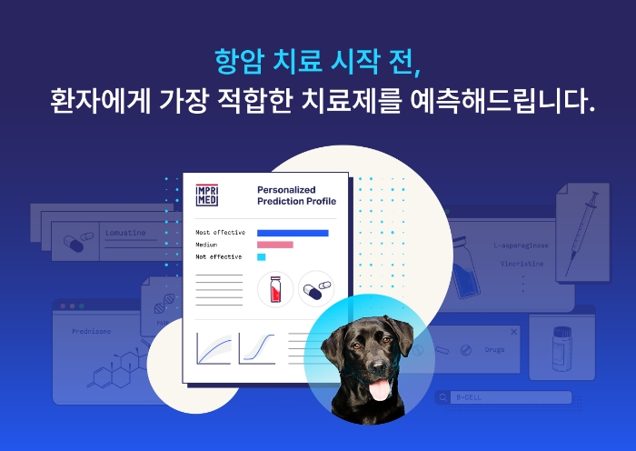 소프트뱅크벤처스가 실리콘밸리에 위치한 인공지능 정밀의료 기업 임프리메드에 투자자로 합류한다. /사진제공=소프트뱅크벤처스