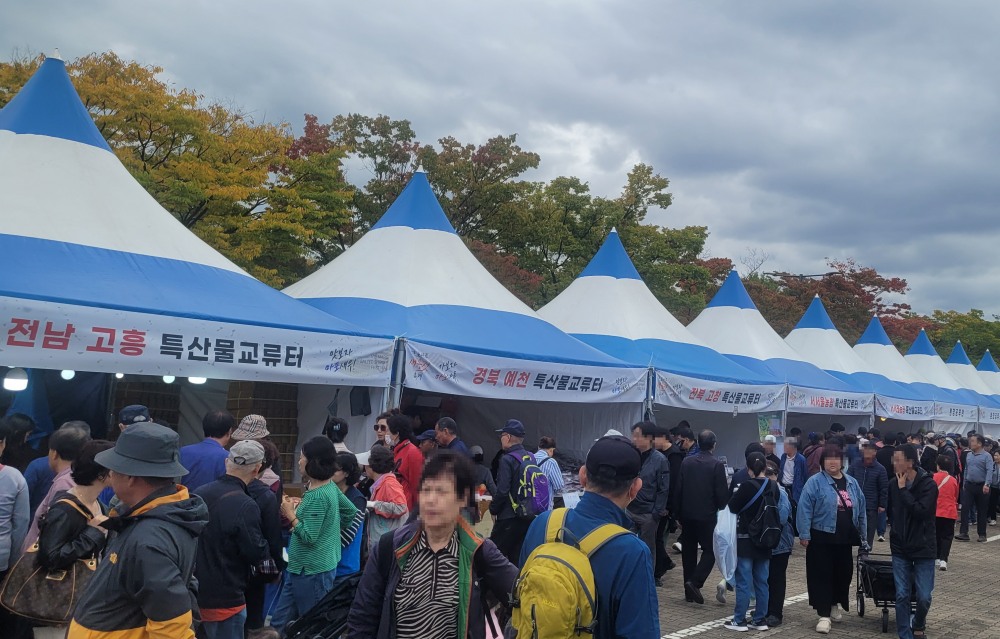 마포나루 새우젓 축제를 찾은 시민들이 특산물 장터를 구경하는 모습./사진=주현태 기자
