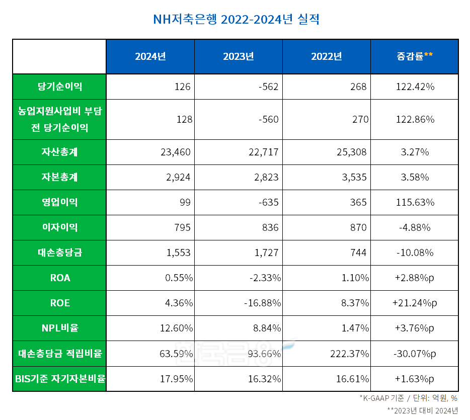 NH저축은행 2022-2024년 실적 표./표 = 김다민 기자