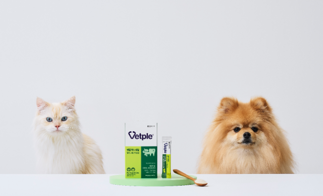 동아제약, 반려동물 장·구강 건강 유산균 '벳플 락토덴탈' 출시. /사진=동아제약