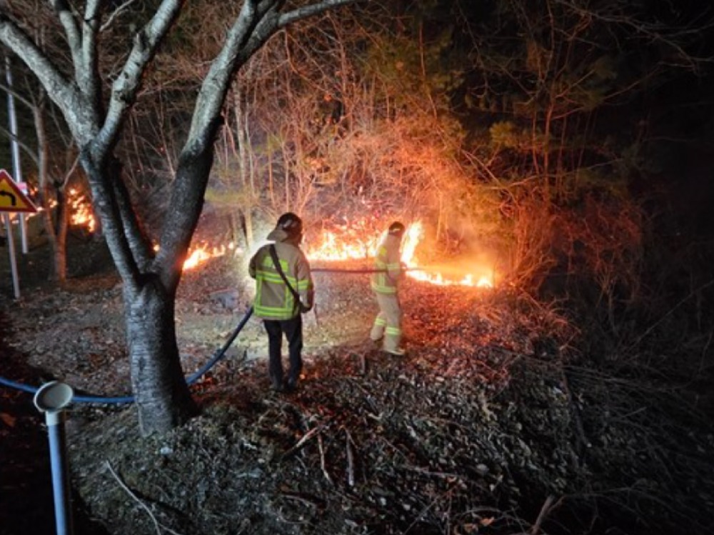 소방본부는 경남과 경북지역 산불 진화 지원에 총력을 기울이고 있다. / 사진제공=대전소방본부