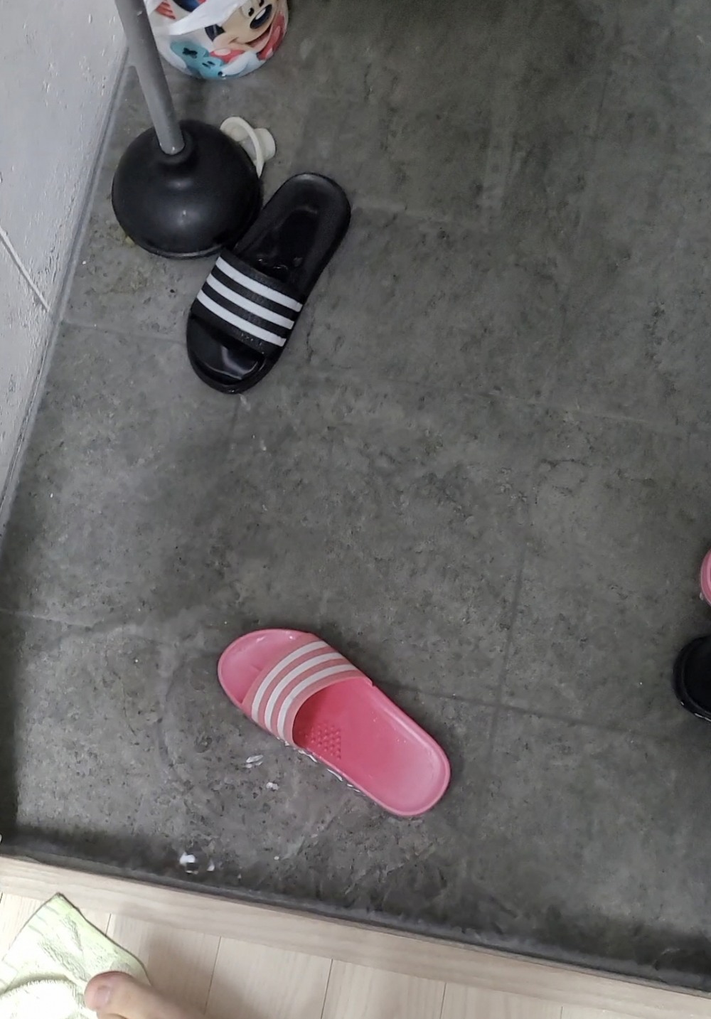 저층세대 역류./사진제공=독자 이모씨