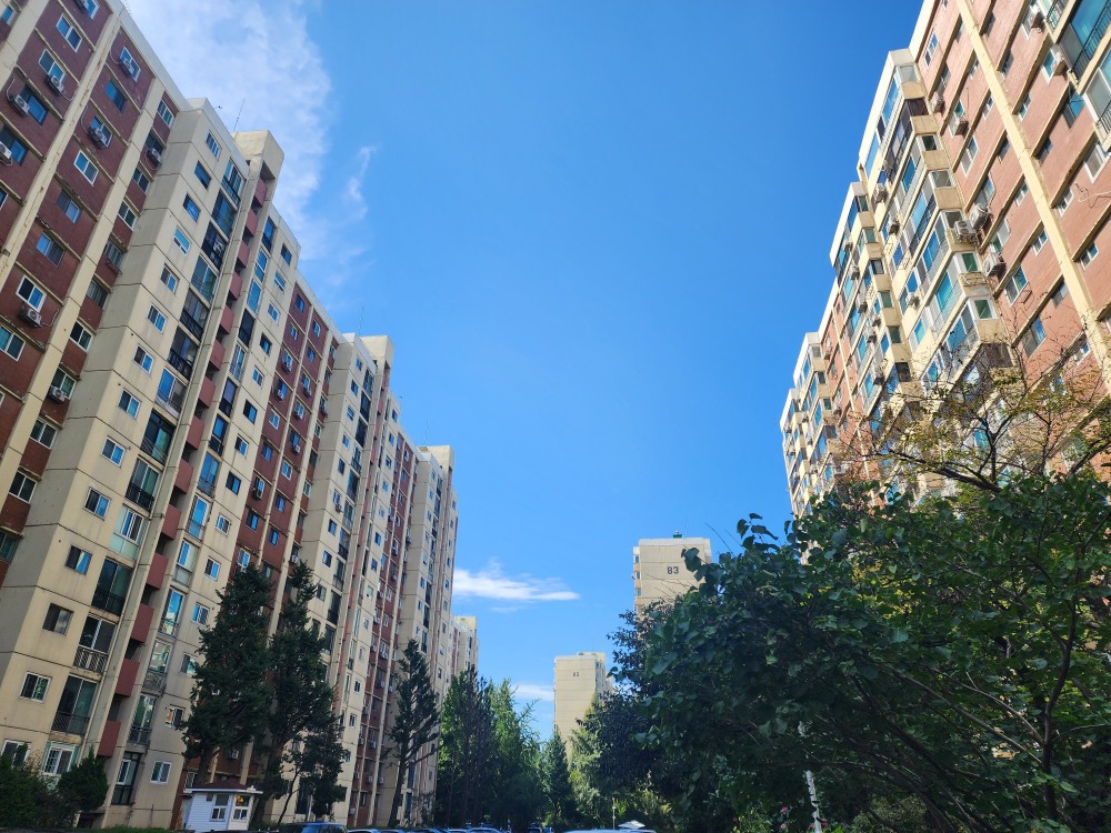 압구정 현대아파트./사진=주현태 기자