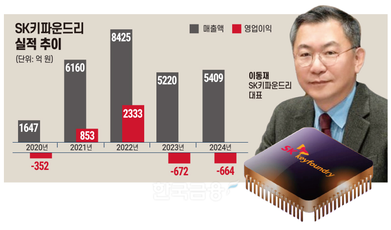 ‘D램 1위ʼ 등극 SK하이닉스, 비메모리도 ‘일ʼ 낼까