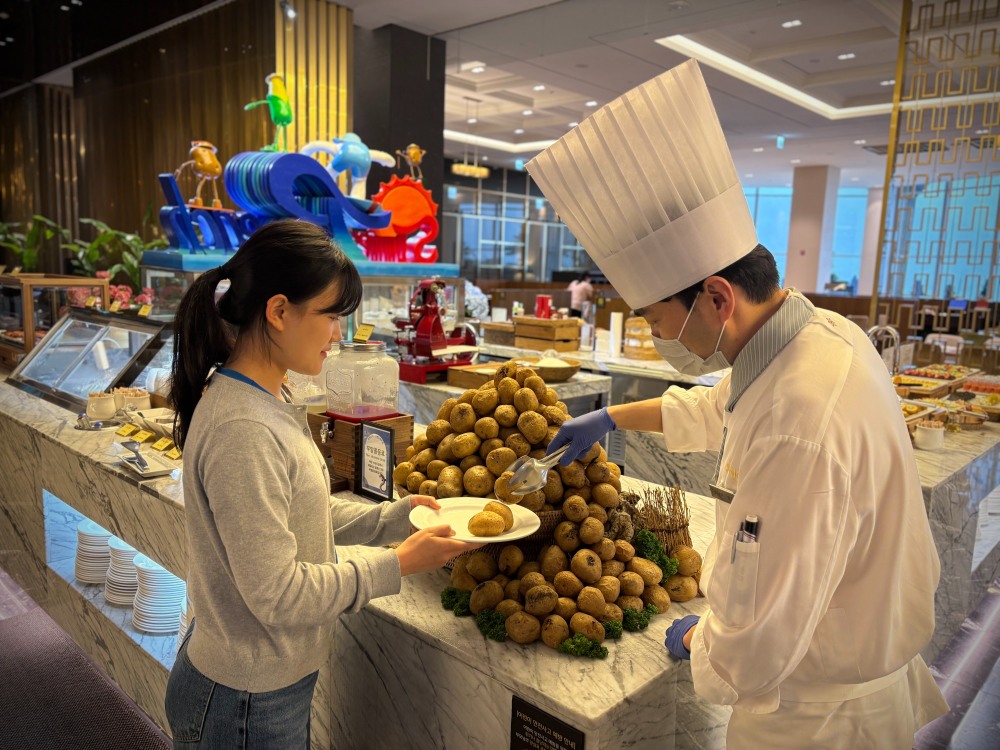 강원랜드 하이원리조트, 지역 감자 상생 프로젝트 진행./사진제공=강원랜드