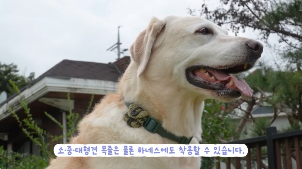 유튜브 '소녀의행성' 속 솔루엠 스마트 태그. / 사진=소녀의행성